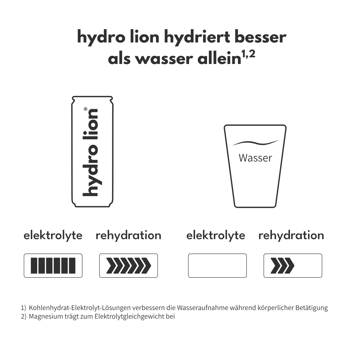 hydro lion produktinfo